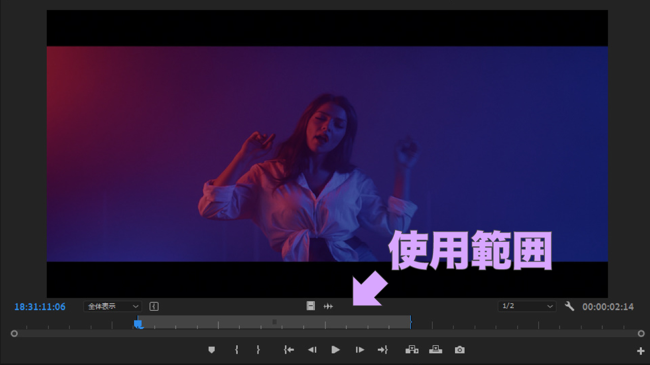 Premiere Pro プロのカット編集 ツールの使い分けと実用的なテクニックを一挙紹介 モーションファイル